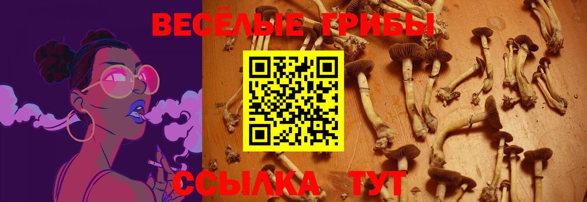 Новоалтайск  Галлюциногенные грибы ЛСД  Вход с VPN 